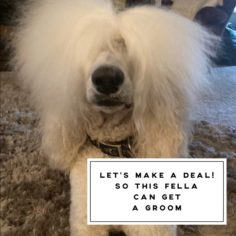 Make me an offer!